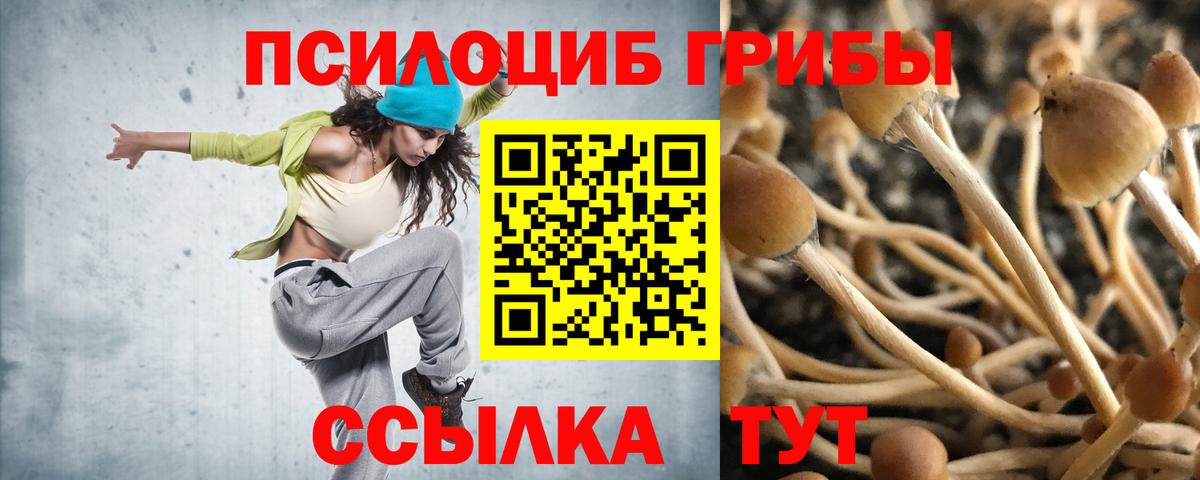 Галлюциногенные грибы Magic Shrooms Железногорск